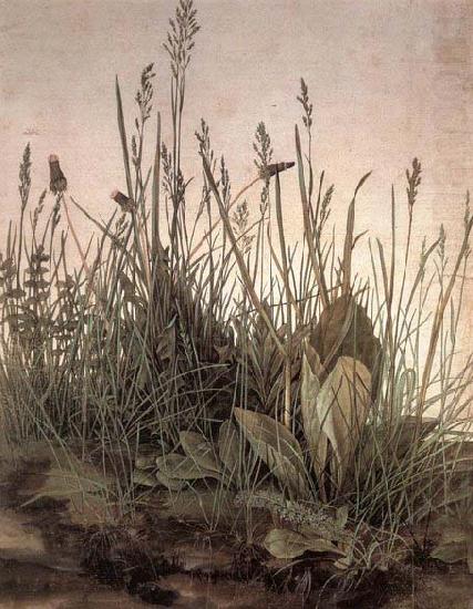 Albrecht Durer The Large Turf china oil painting image